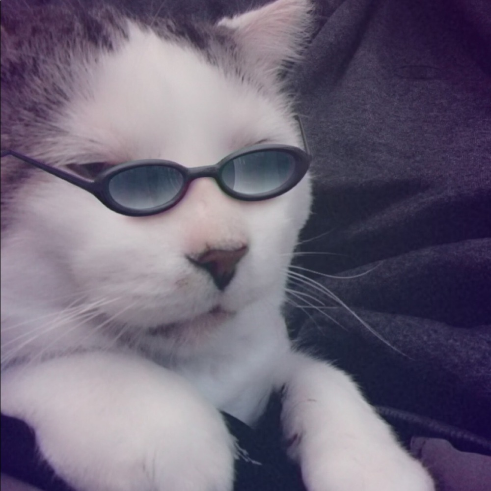 Meet your Posher, Parker